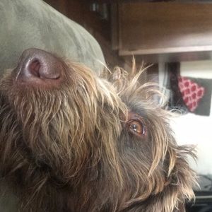 Meet your Posher, Adrianna